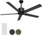 BECLOG Ceiling Fan 60" Outdoor/Indoor, Ceiling Fans with Remote Control with 6 Speeds Reversible DC Motor, Ceiling Fans No Lights Modern Black for Patios, Farmhouse, Kitchen, Living Room, Bedroom